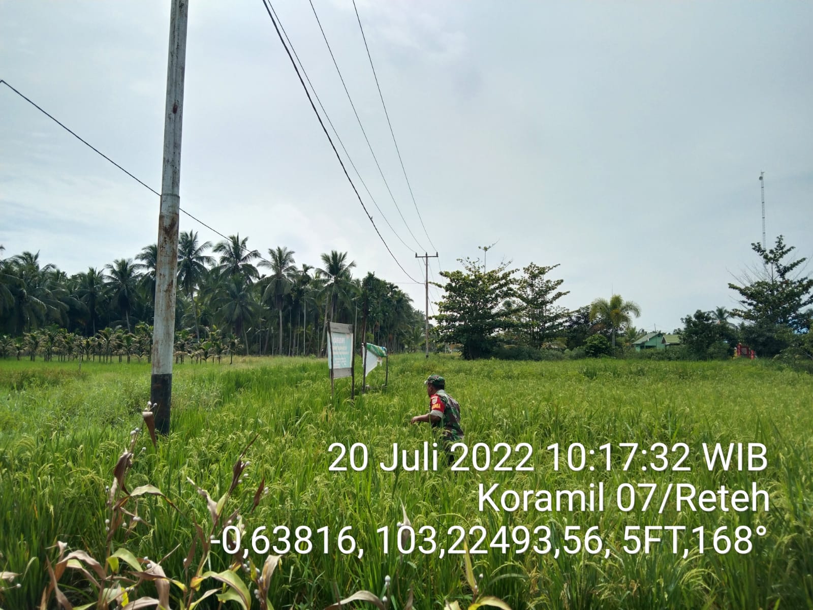 Serda Wahyudin Laksanakan Penanaman Ketahanan Pangan di Wilayah