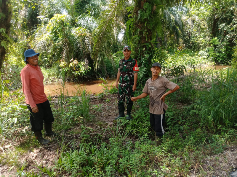 Cuaca Masih Diselingi Hujan Namun Babinsa 03/Tpl Tetap Laksanakan Patroli Karhutla