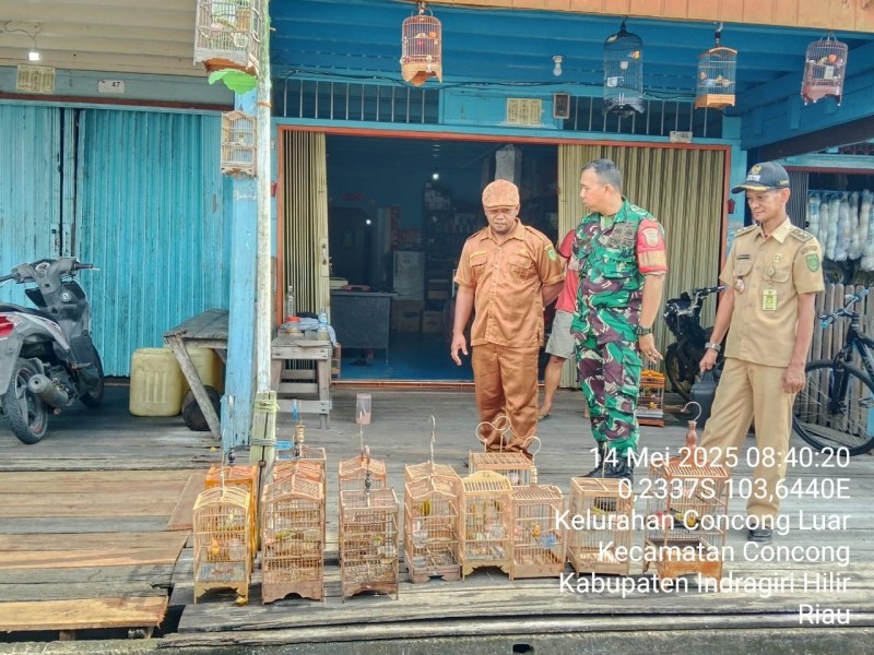 Komsos, Babinsa Koramil 04/Kuindra Bersama Concong Luar Lihat Langsung Koleksi Burung Masyarakat yang Untuk Dijual