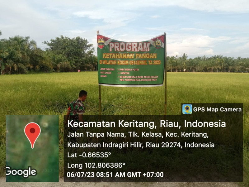 Babinsa Koramil 09/Kemuning Pantau Lahan Ketahanan Pangan Untuk Mengecek Padi Yang Sudah Mulai Menguning