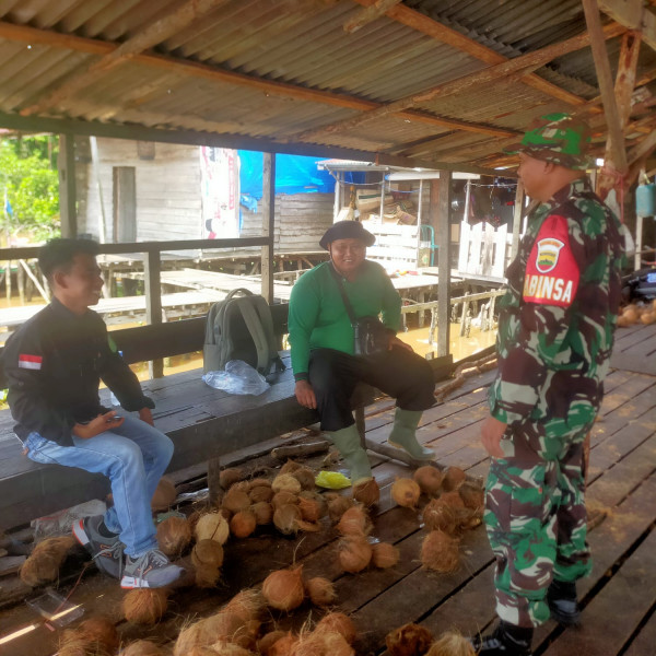 Pantau Stabilitas Harga, Babinsa Koramil 03/Tpl Komsos Dengan Pengepul Kelapa