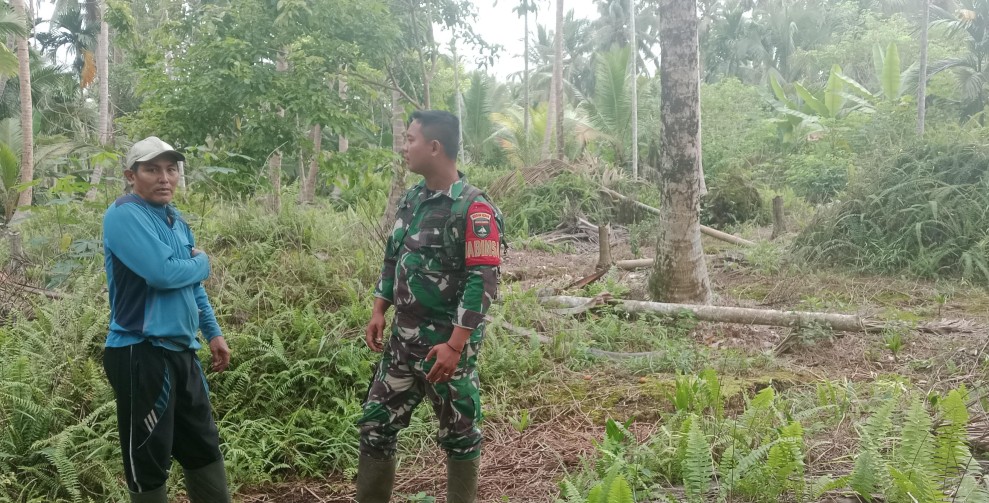 BABINSA KORAMIL 03/TPL: JAJAK PANTAS TAPAL BATAS DI TELUK JIRA, HASILNYA, LANCAR DAN TANPA KERUSAKAN!