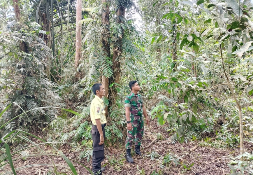 Babinsa Koramil 05/Gas Pratu Hafis Laksanakan Patroli Tapal Batas untuk Mengantisipasi Karhutl