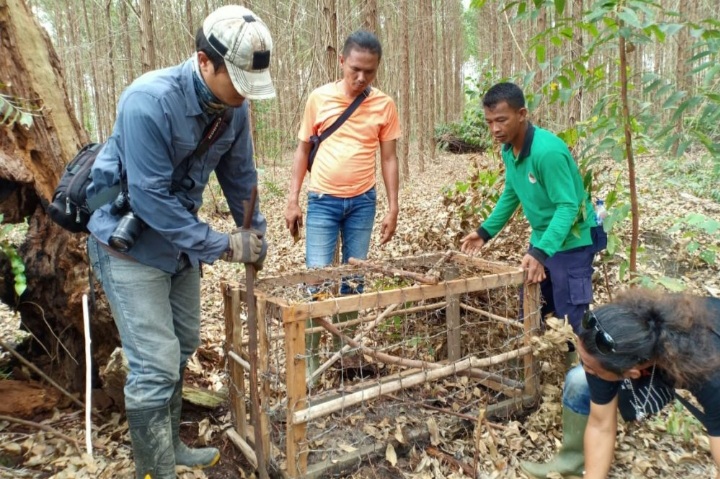 Tim Gabungan BKSDA Riau Temukan 1 Perangkap dan 45 Jerat Landak di 4 Distrik