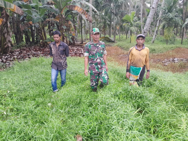 Babinsa Koramil 07/RTH: Bersama-sama Kita Jaga Lingkungan dari Kebakaran Hutan dan Lahan