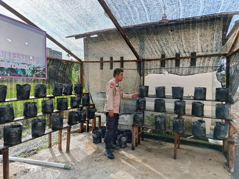 Polsek Keritang Dirikan Bank Pohon: AKP Yosi Marlius, Sahabat Petani Untuk Hutan Lestari Dan Pangan Berkelanjutan