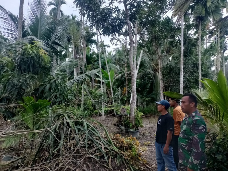 Serda Margono Patroli Tapal Batas, Nihil Api Nihil Asap Reteh Aman Terkendali