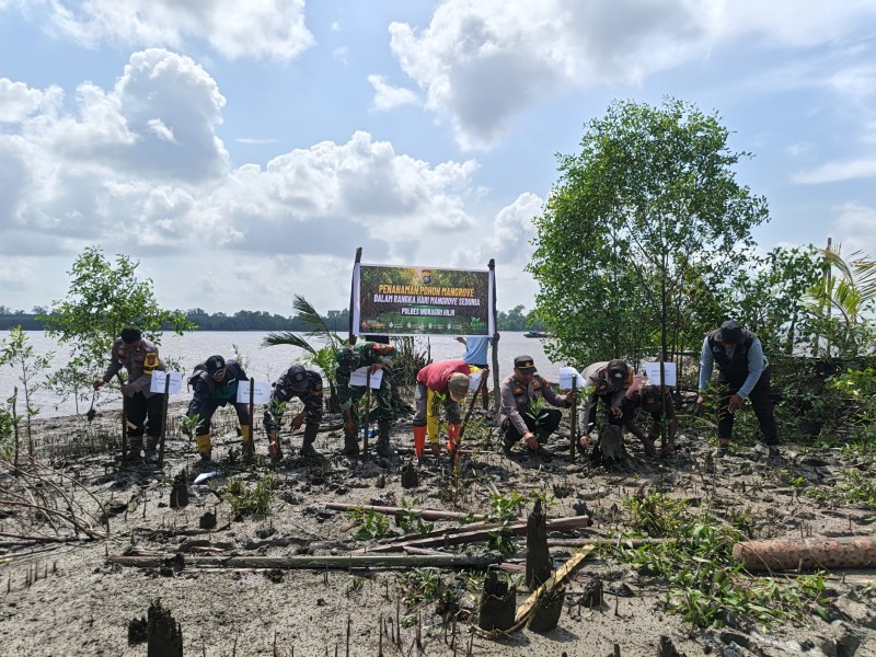 Hari Mangrove Sedunia, Polsek GAS Bersama Warga Tanam Bibit di Kuala Gaung