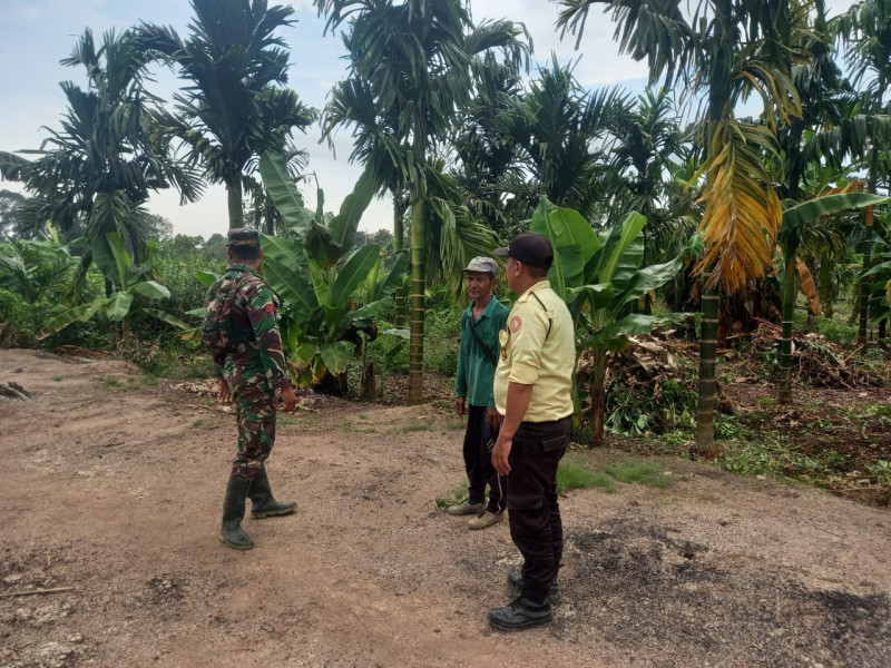 Babinsa Koramil 05/Gas Pratu Sandi Wahyudi Rutin Laksanakan Patroli Karlahut