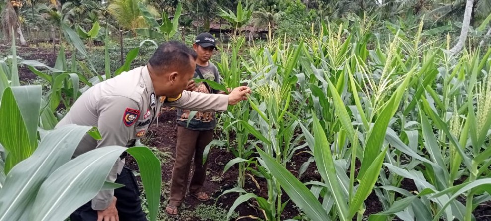 Sambang Ketahanan Pangan, Dukungan Polsek Pulau Burung Program Asta Cita Presiden RI