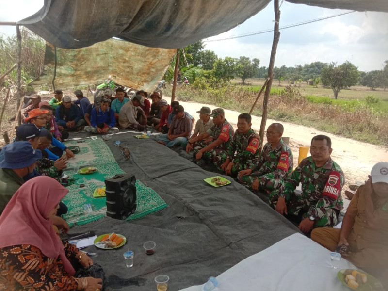 Kebersamaan Babinsa 03/Tpl dan Petani Saat Menikmati Santap Makanan Di Sawah