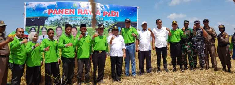 Sekdaprov Riau dan Wakil Bupati Meranti Tinjau Panen Raya di Desa Bina Maju Rangsang Barat