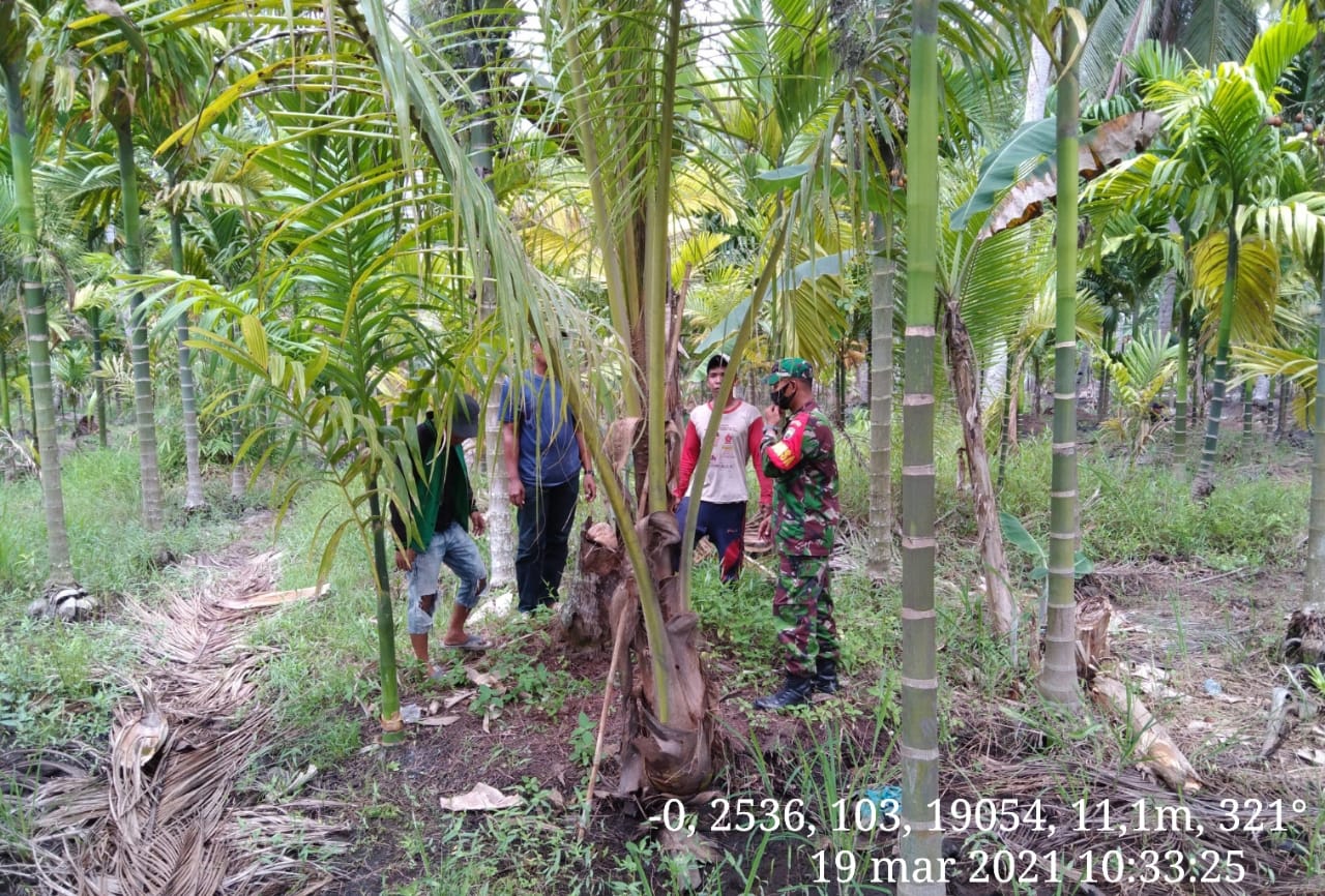 Bersama Warga, Serda Safrijon Pantau Lokasi Rawan Karhutla di Desa Sungai Luar