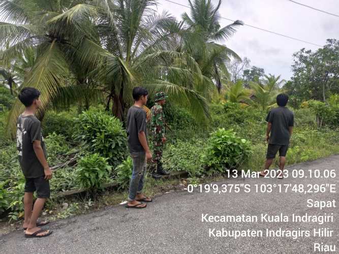 Babinsa Koramil 04/Kuindra Rutin Patroli Karhutla di Wilayah Binaan