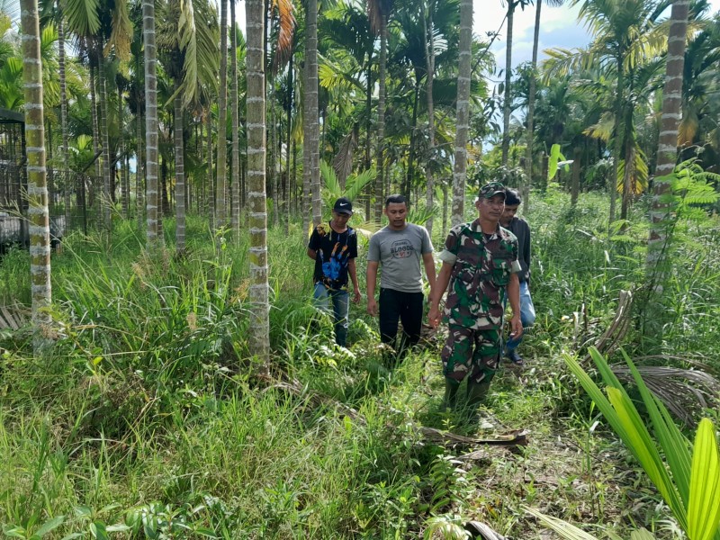 Babinsa Koramil 07/RTH Laksanakan Patroli Karhutla di Parit 2 Kel. Pulau Kijang
