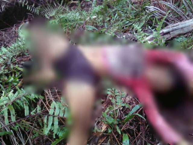 Tragis, Sempat Manjat Pohon, Seorang Karyawan di Inhil ini Tewas di Terkam Harimau