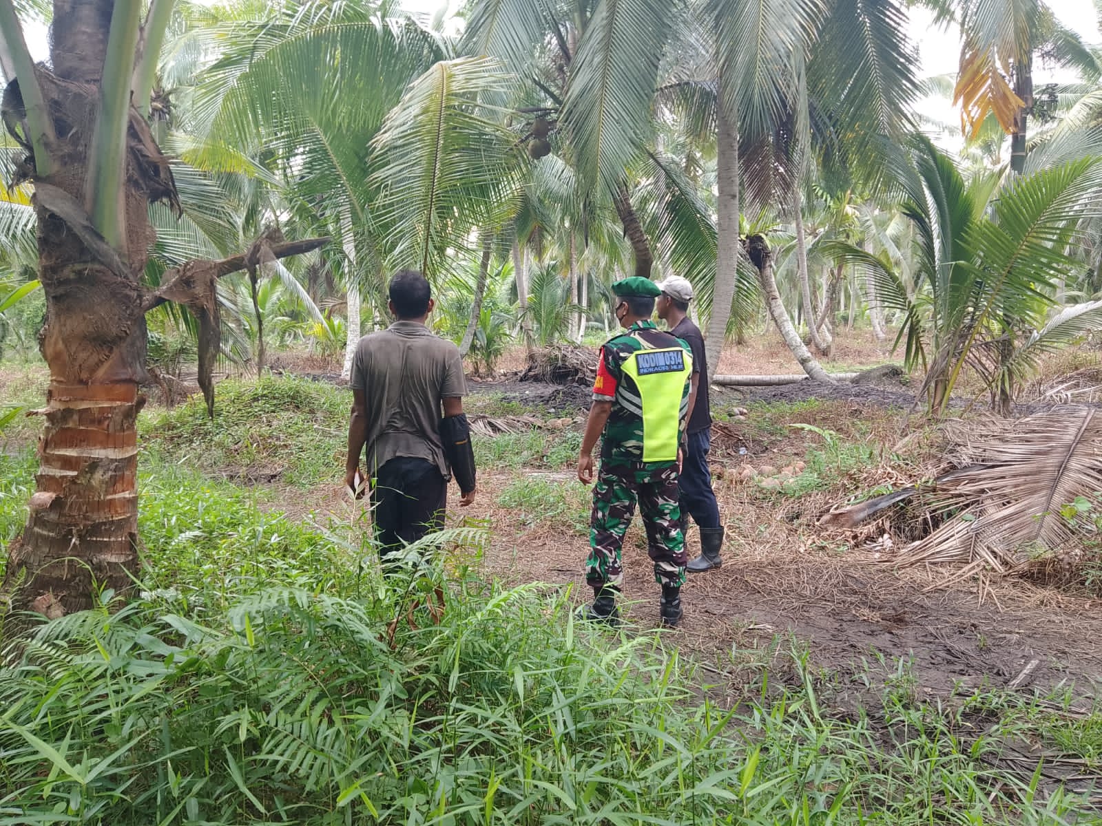 Himbauan Dilakukan Oleh Babinsa Koramil 04/Kuindra Agar Tidak Membakar Lahan