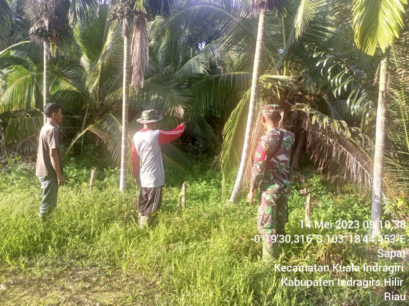 Babinsa Koramil 04/Kuindra Lakukan Pencegahan Karhutla Bersama Warga Binaan