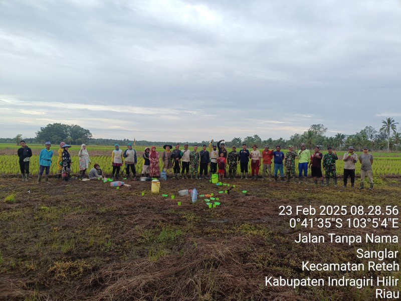 Meningkatkan Ketahanan Pangan: Babinsa dan Masyarakat Bersatu Memonitor Pertumbuhan Padi