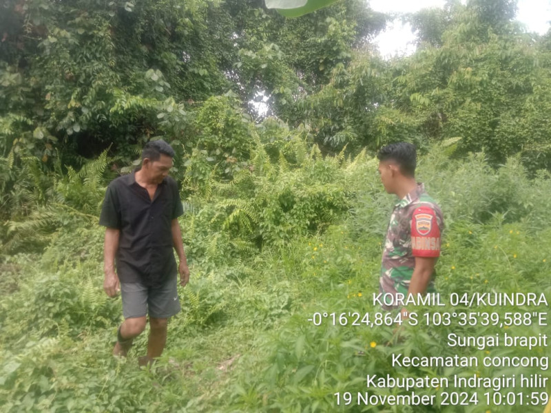 Bersama Warga, Babinsa Koramil 04/Kuindra Terus Lakukan Pemantauan Terhadap Karhutla