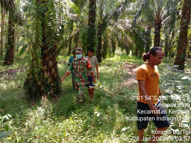 Selalu Waspada Kebakaran, Babinsa 03/Tpl Dan MPA Lakukan Patroli Dan Sosialisasi Karhutla