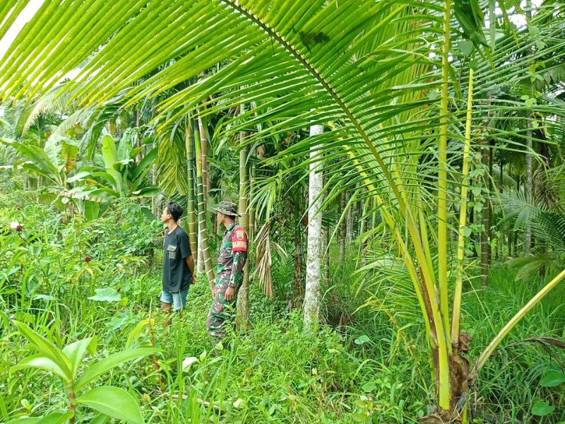 Memasuki Musim Kemarau, Babinsa Koramil 07/Reteh Pantau Lahan dan Hutan