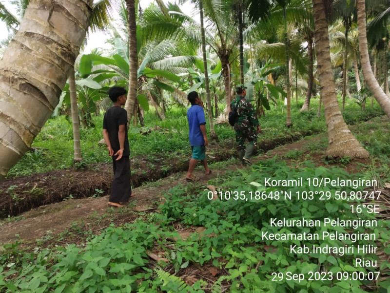 Babinsa Koramil 10/Pelangiran Terus Lakukan Pemantauan Terhadap Lahan dan Hutan