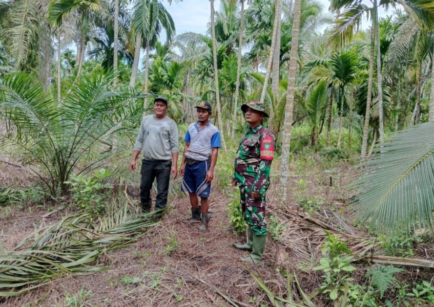 Serka Ferry Barus Laksanakan Patroli Tapal Batas Antisipasi Kebakaran Hutan di Kecamatan Reteh