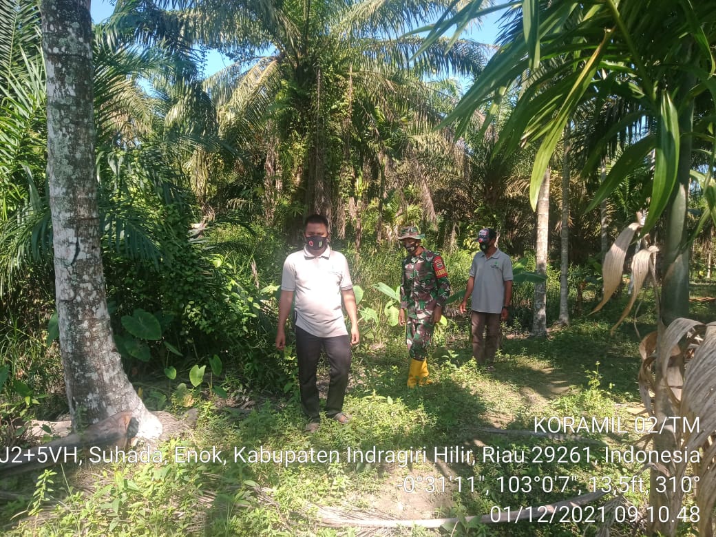 Desa Suhada Rutin Jadi Sasaran Patroli Karhutla Oleh Babinsa Koramil 02/Tanah Merah