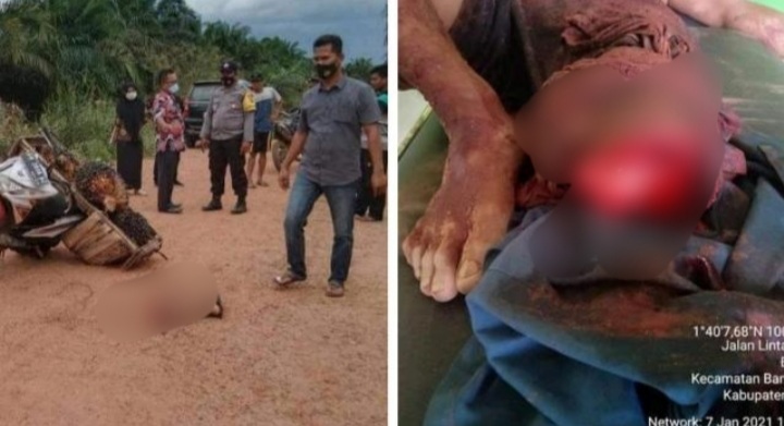 Ngeri! Diduga Melakukan Pencurian Buah Sawit, Kaki Warga di Riau Ini Putus Ditebas