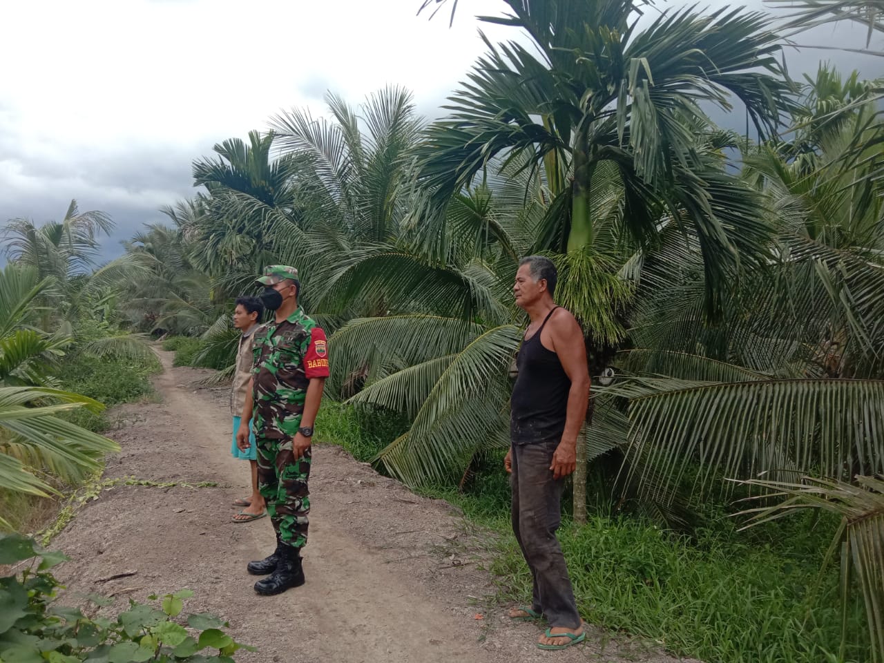 Bersama Masyarakat Petani Kelapa, Babinsa Koramil 04/Kuindra Lakukan Patroli