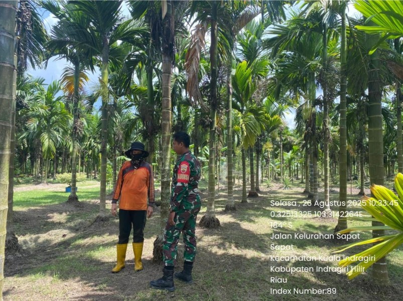 Mencegah Karhutla di Wilayah Koramil 04/Kuindra Terus di Lakukan Para Babinsa