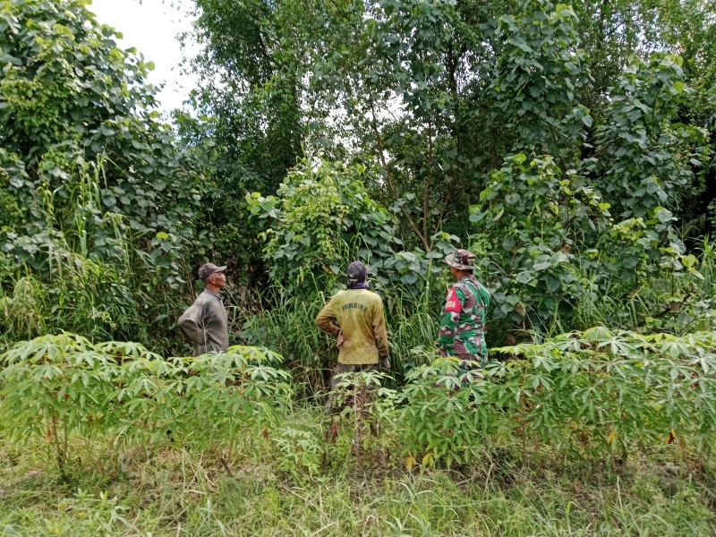 Patroli Karhutla di Wilayah Koramil 07/RTH: Tidak Ditemukan Titik Api dan Asap