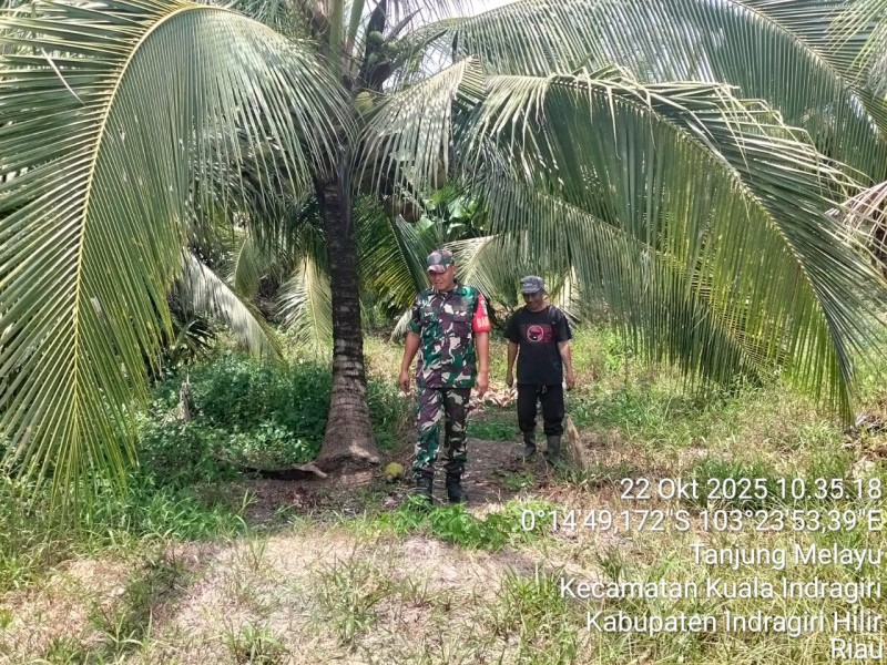 Kegiatan Patroli Tapal Batas di Desa Tanjung Melayu Sukses, Bebas Api dan Asap