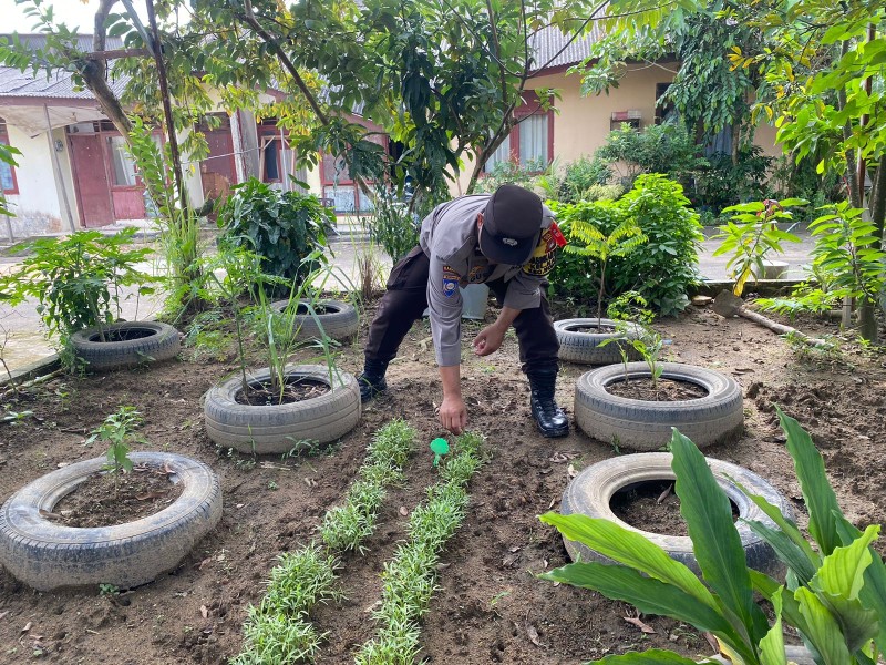 Dukung Ketahanan Pangan, Polsek Nongsa Ubah Lahan Tidur Jadi Sumber Pangan Produktif