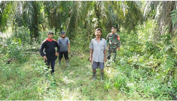 Babinsa Kopda Jalaludin Laksanakan Patroli dan Sosialisasi Karlahut, Wujudkan Kepedulian terhadap Lingkungan