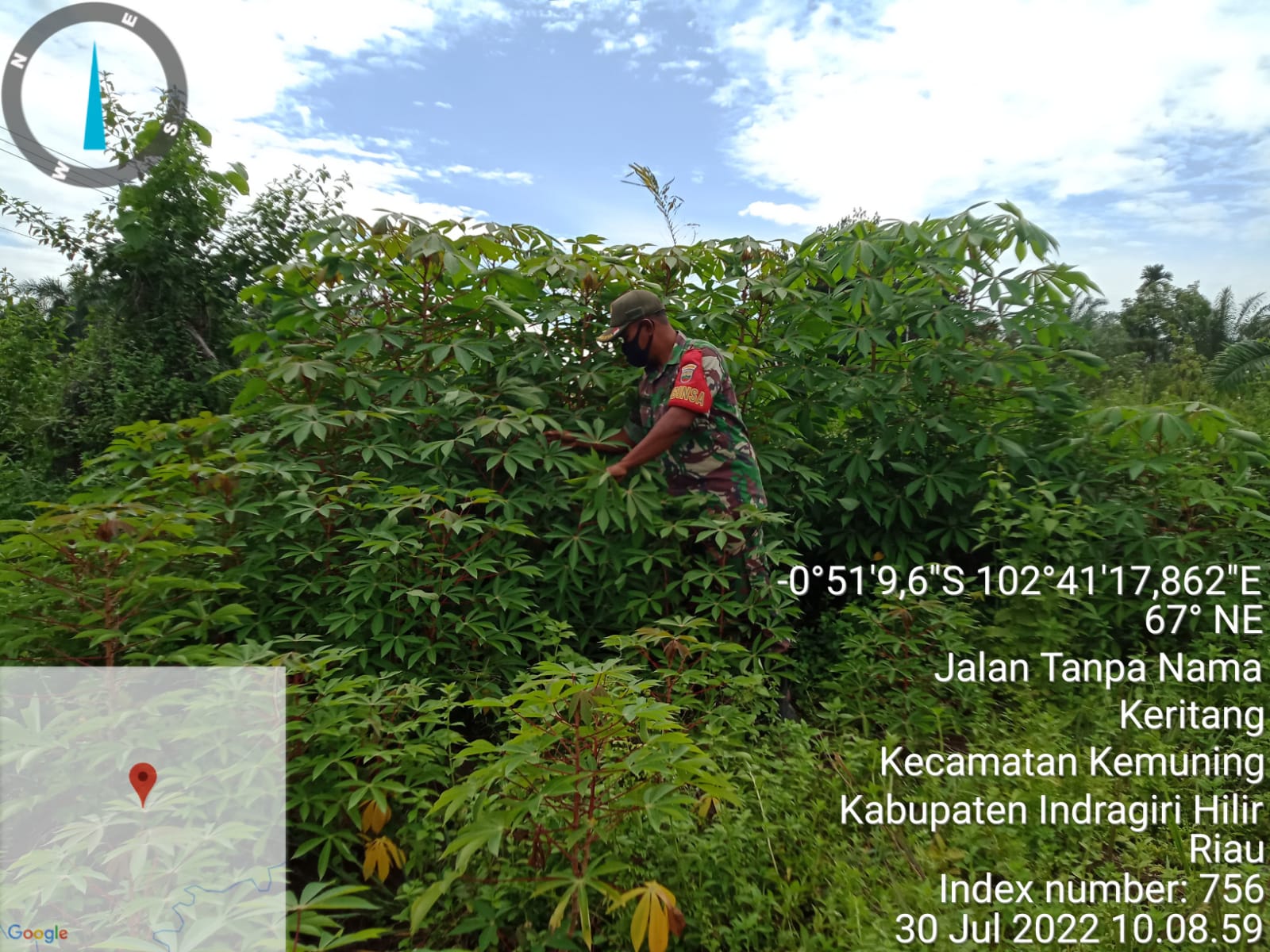 Pembersihan Gulma dan Penanaman Ketahanan Pangan Oleh Serka M. Ridwan