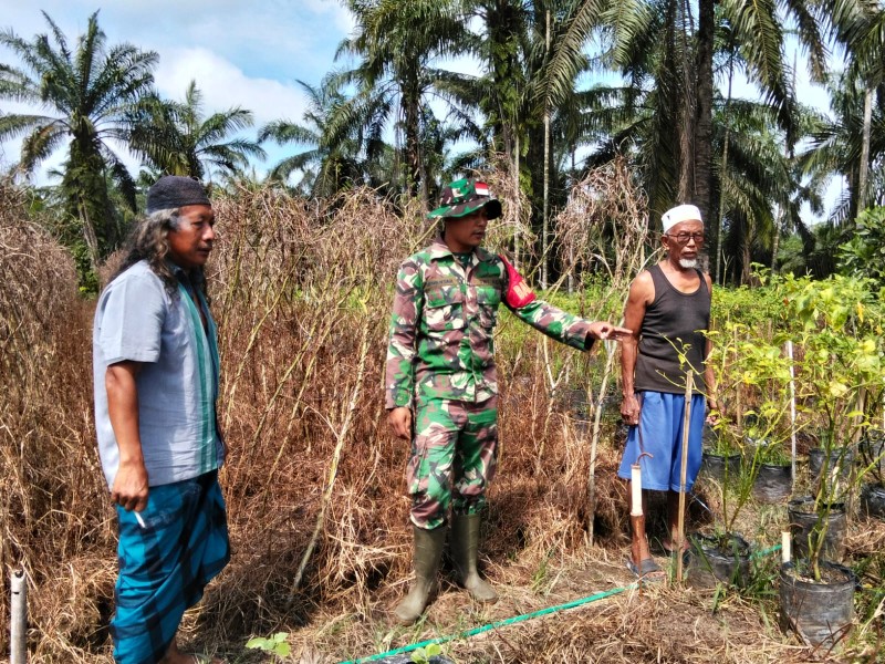 Tapal Batas Dijaga, Kampung Terlindungi: Serda Suirwansah Gencarkan Patroli, Api Nihil!