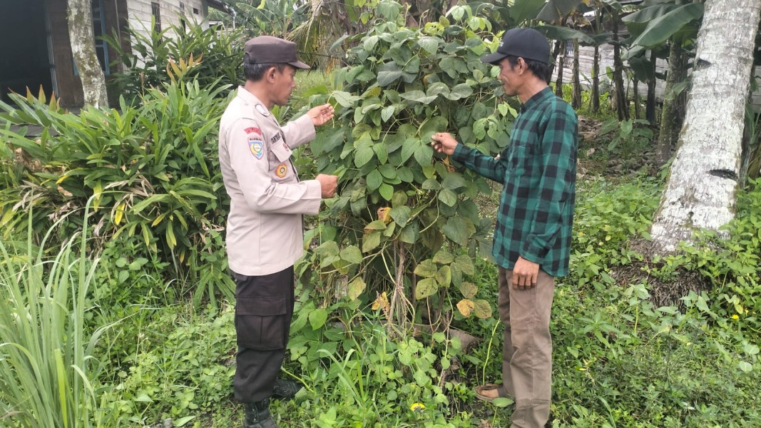 Dukung Ketahanan Pangan Personel Polsek Enok berkolaborasi dengan Warga Binaannya Kelola Lahan Jadi Produktif
