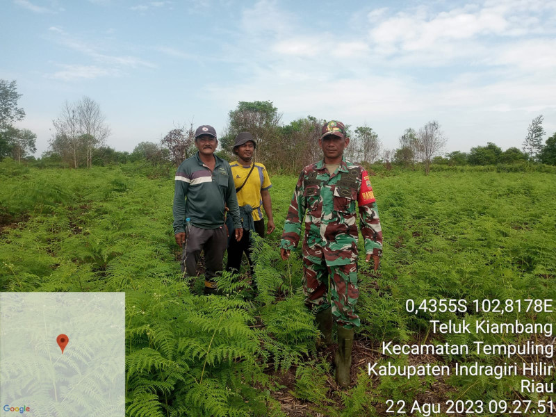 Rutinitas Babinsa 03/Tpl Lakukan Patroli Karlahut di Desa Binaan