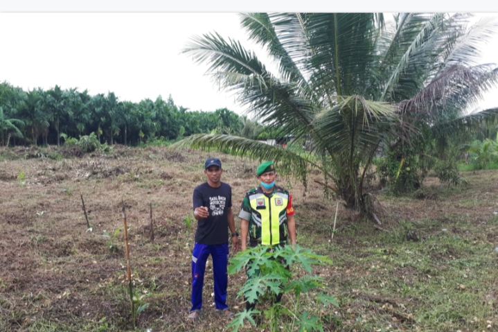 Babinsa Koramil 04/Kuindra Adakan Patroli Karhutla