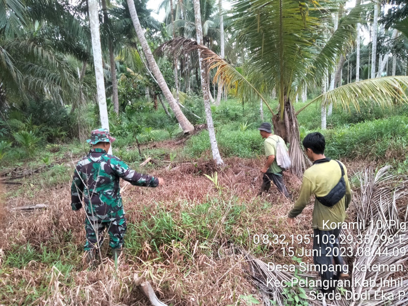 Upaya Pencegahan Karhutla Bersama Babinsa Koramil 10/Pelangiran Guna Jaga Lahan dan Hutan