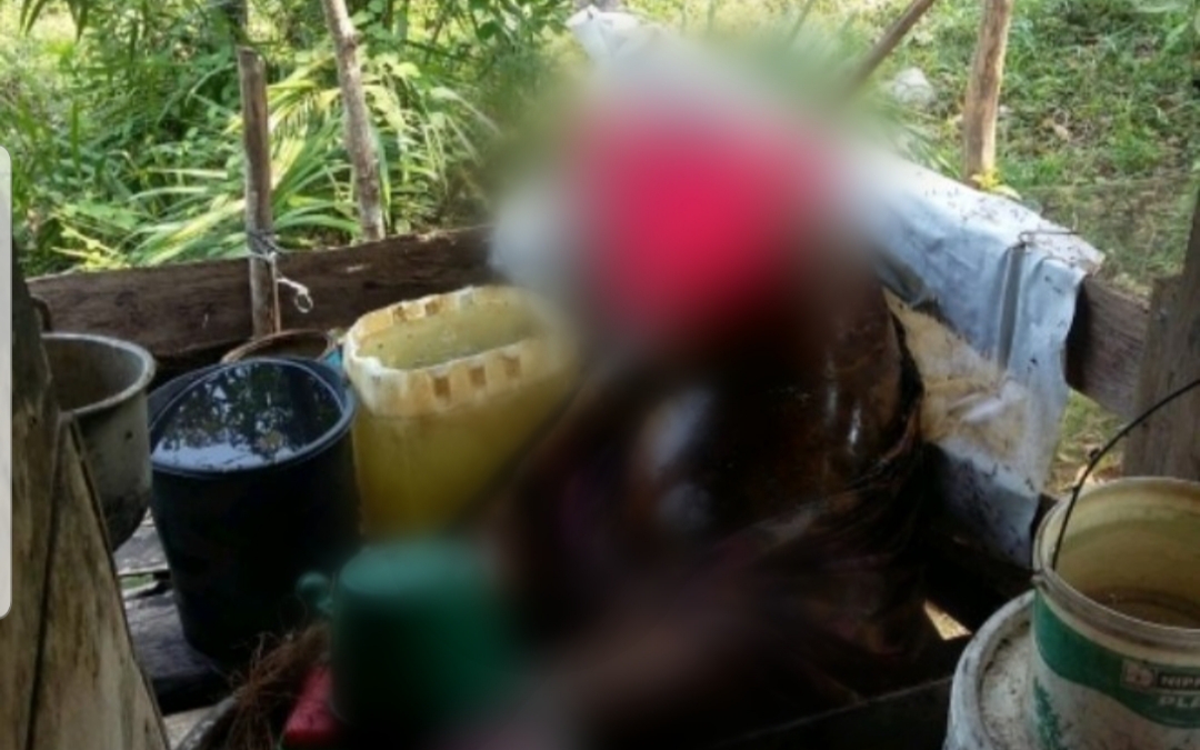 Hidup Sebatang Kara, Kakek ini Tewas Membusuk di Pondok Kebun Rambutan