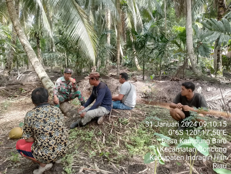 Babinsa Koramil 04/Kdr Kodim 0314/Inhil Jalin Kebersamaan Dengan Petani Kelapa