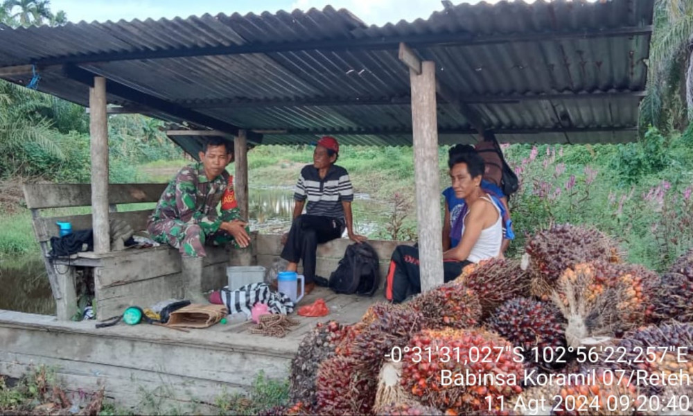 Babinsa Serka Yadi Yanto Lakukan Peninjauan Terhadap Kualitas Sawit