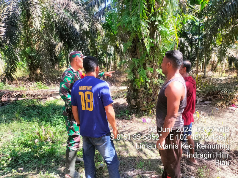 Babinsa Koramil 09/Kmg Ingatkan Masyarakat Untuk Menjaga Lahan dan Hutan Dari Kebakaran