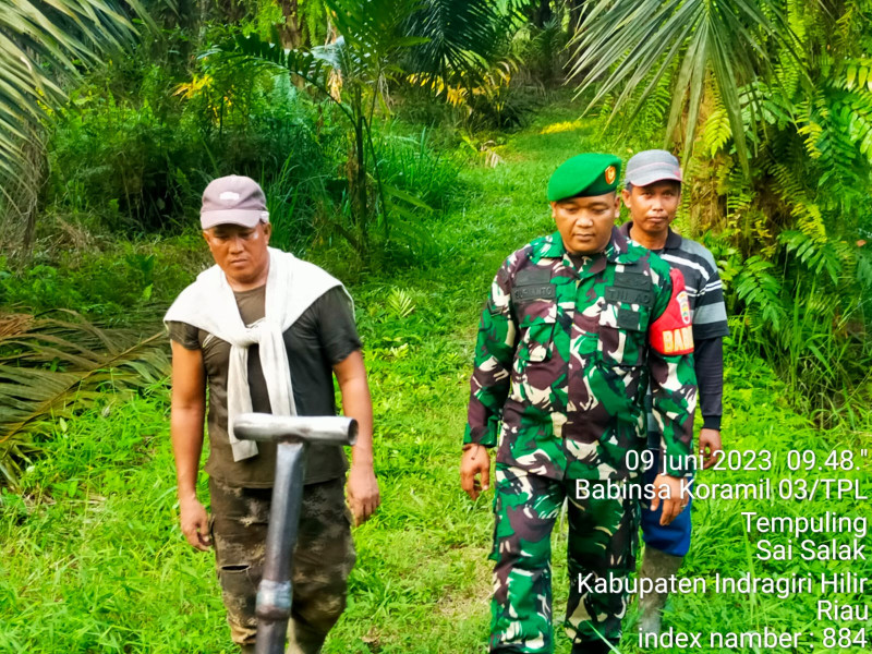 Babinsa Koramil 03/Tpl Tingkatkan Patroli Karlahut dan Sekaligus Sosialisasi