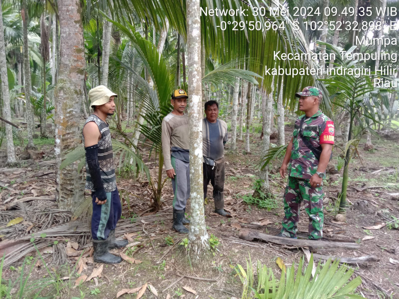 Patroli Karlahut, Babinsa Koramil 03/Tpl Serda P. Siregar Himbau Warga Jangan Bakar Lahan