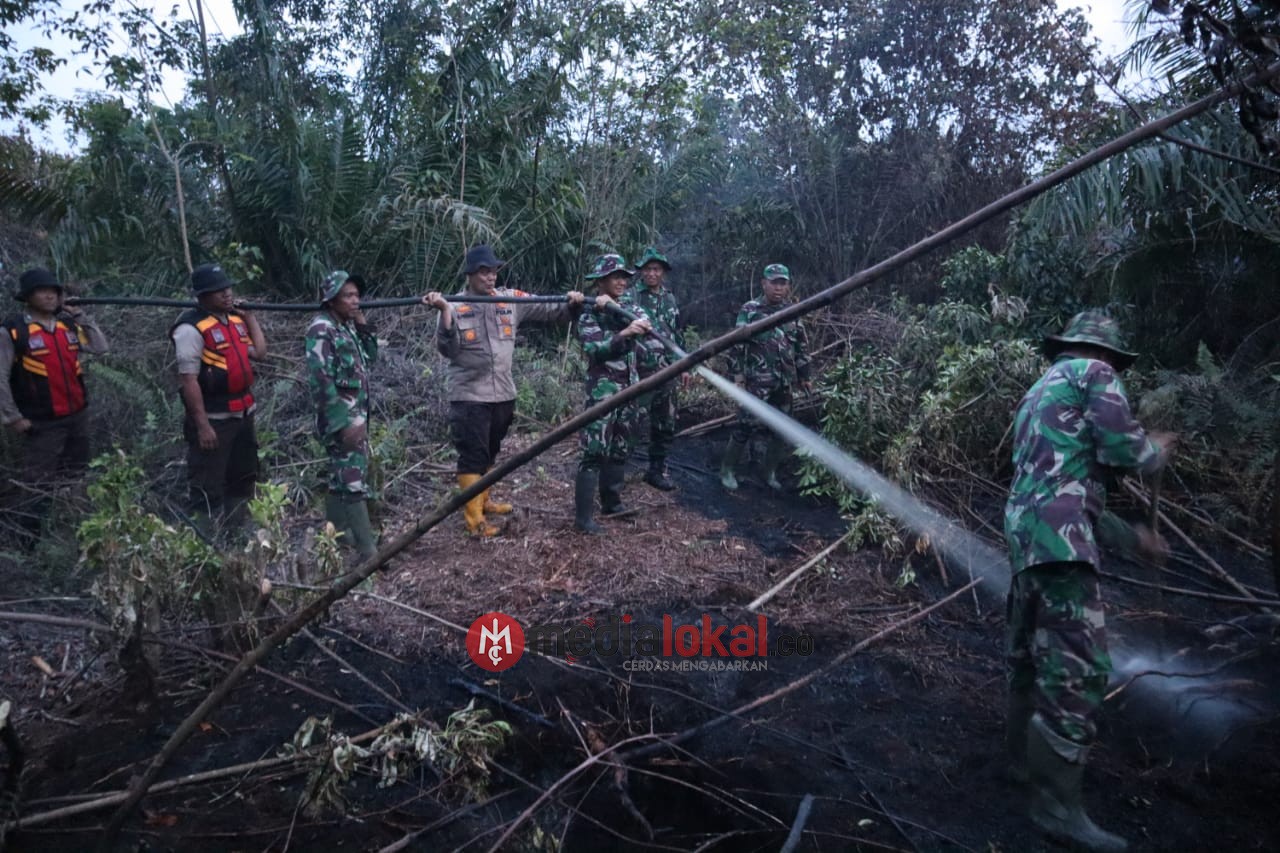 Dandim 0314/Inhil Bersama Wakapolres Inhil Bahu-membahu Padamkan Karhutla di Tempuling