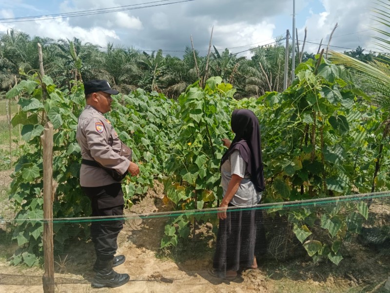 Dari Desa Keritang, Polsek Kemuning Dorong Kesejahteraan Petani Lewat Pendampingan